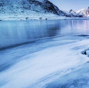 Meet your Posher, Ellen